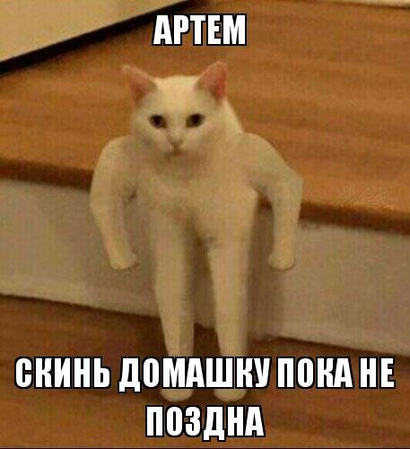Скинь домашку