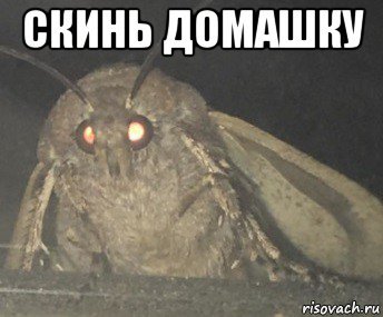 Мемы скинь ДЗ