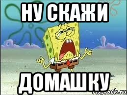 Скажите домашку Мем