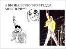 Фредди Меркьюри мемы