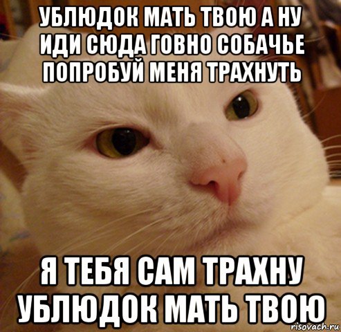 Иди сюда говно Собачье
