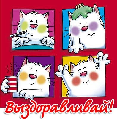 Выздоравливай котик