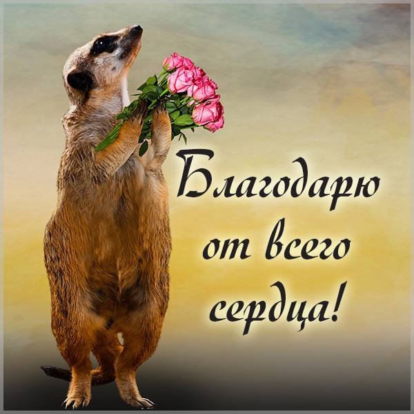 Спасибо за поздравления прикольные