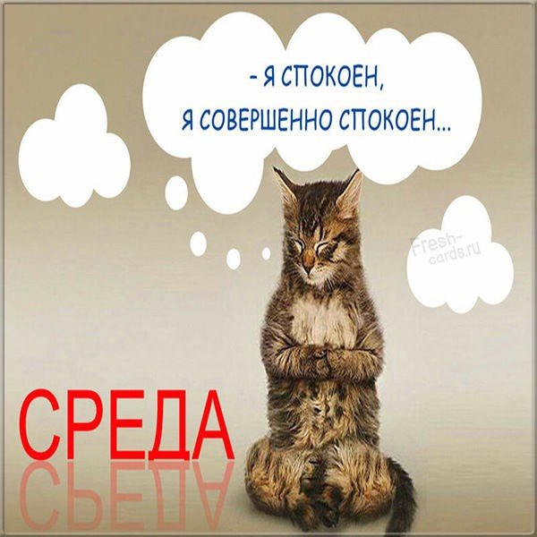 Приколы про среду