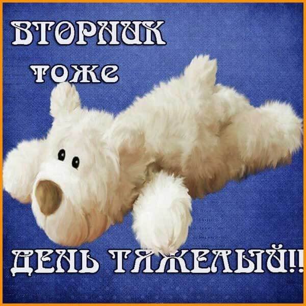 Доброе утро вторника прикольные