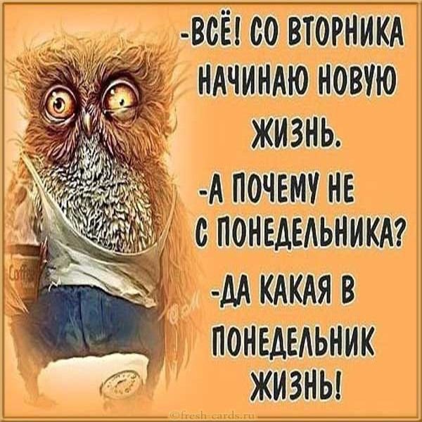Вторник картинки смешные
