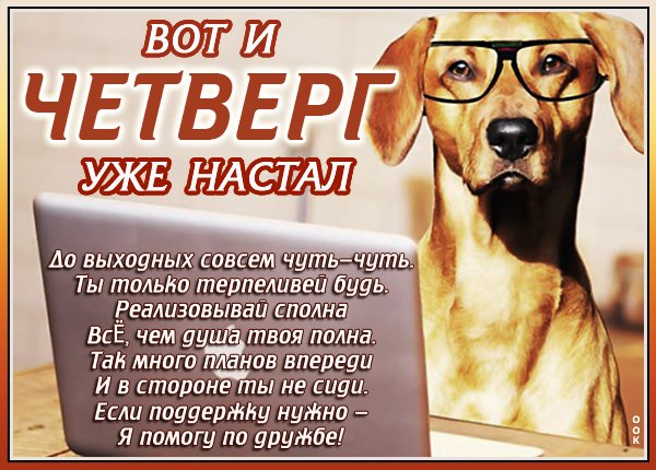 Рабочий четверг картинки прикольные смешные