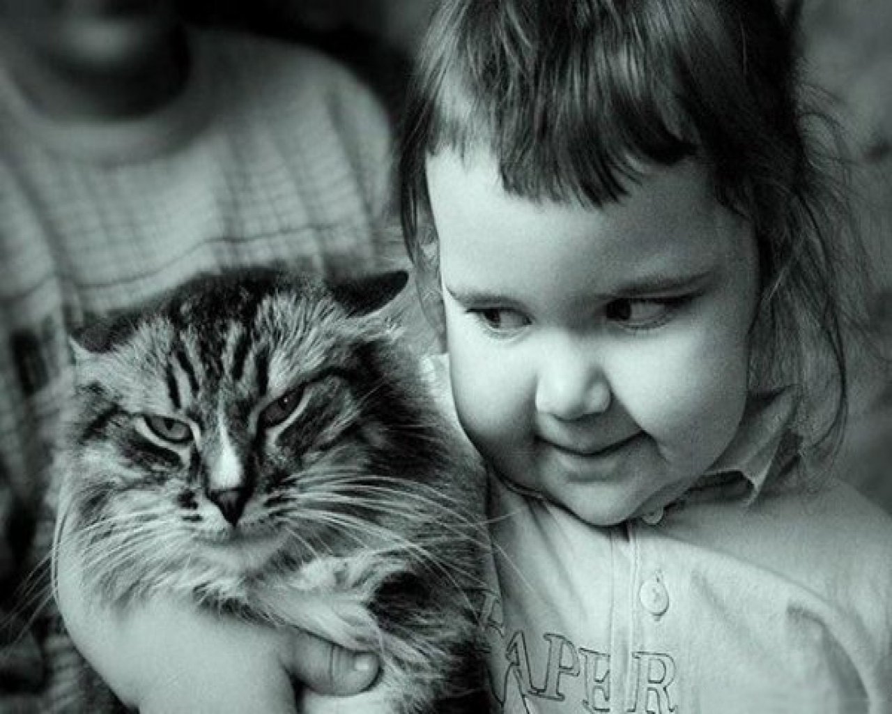 Таня и кот мурзик. Дети и коты. Кот для детей.