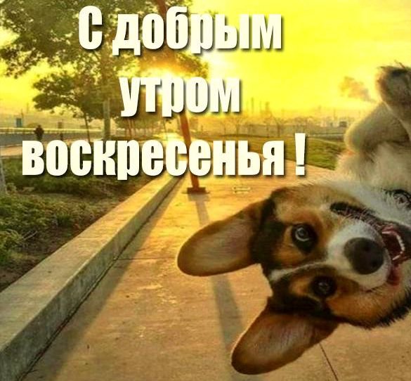Доброе утро воскресенье прикольные