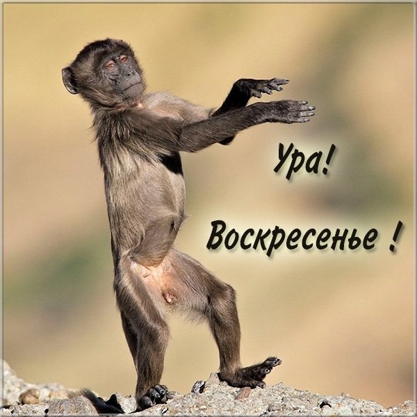 Удачной пятницы