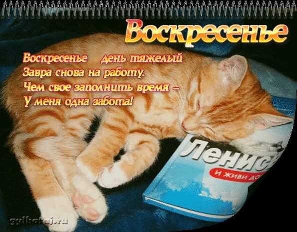 Воскресенье приколы