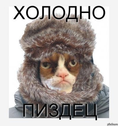 Холод прикольные