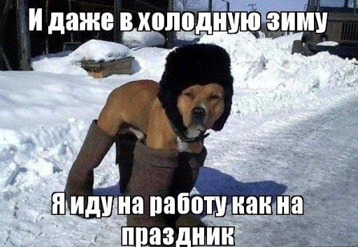 Приколы очень холодно на улице