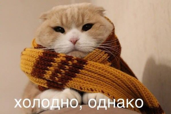 Доброе утро холодно однако