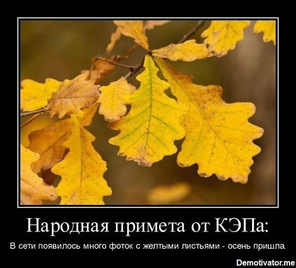 Осень картинки прикольные
