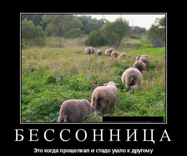 Бессонница приколы