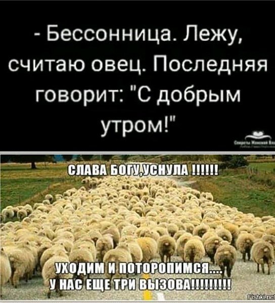 Бессонница смешные