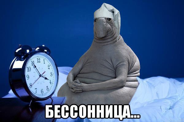 Здравствуй бессонница