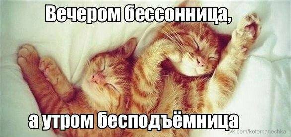 Бессонница картинки прикольные