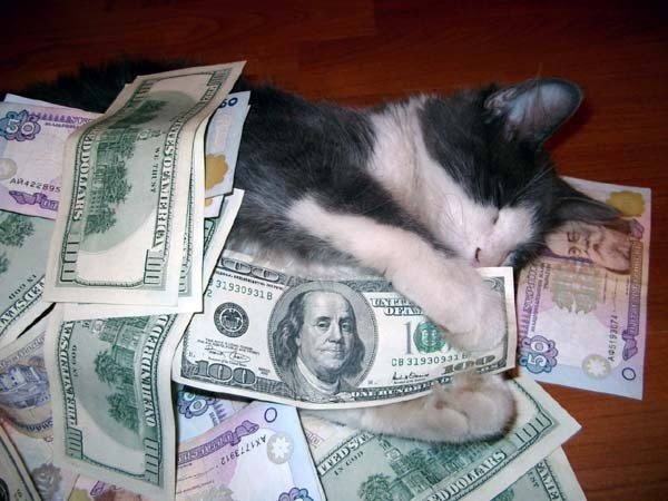 Мои деньги