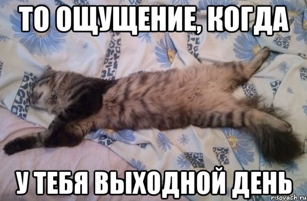 Про выходные смешные