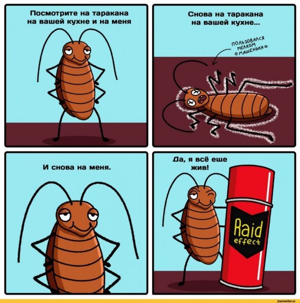 Веселый таракан