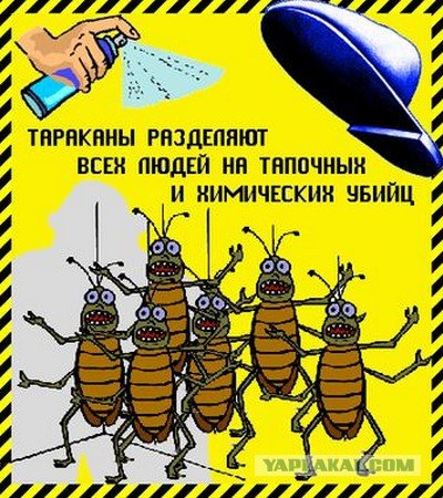 Смешной таракан
