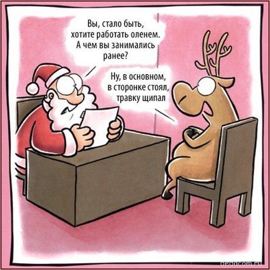 Анекдоты про собеседование