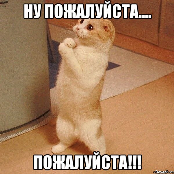 Открытка "прости"