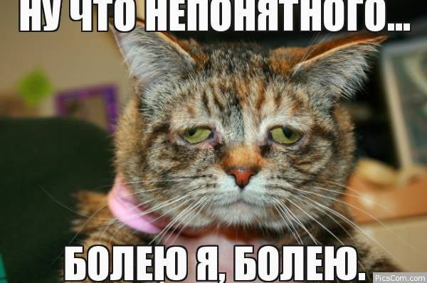 Заболела картинки прикольные