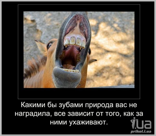 Стоматологический юмор в картинках