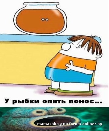 У рыбки опять понос