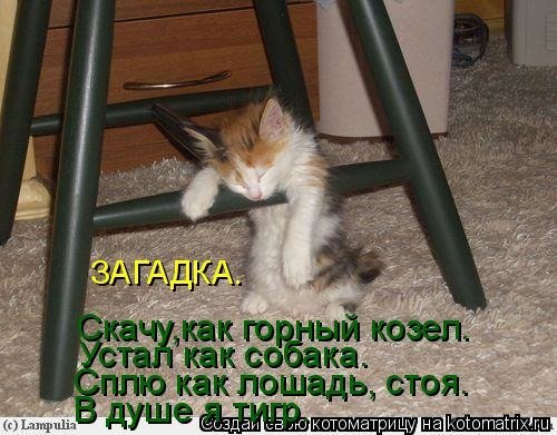 Устала от работы