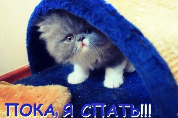 Я спать