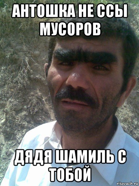 Шутки про цыган