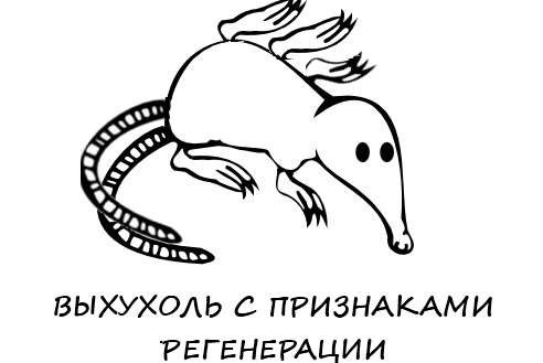 Похухоль и нахухоль
