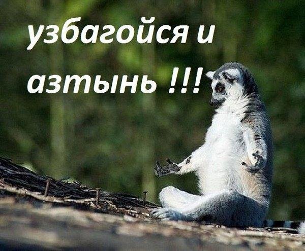 Лемур узбагойся оригинал