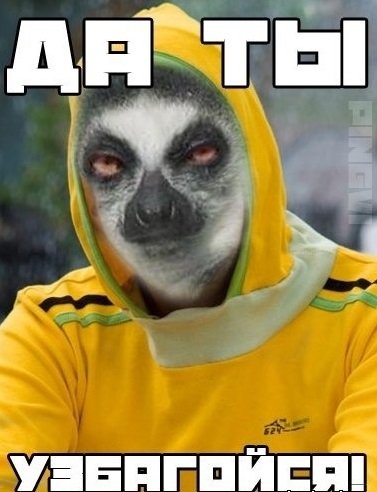 Да ты узбагойся