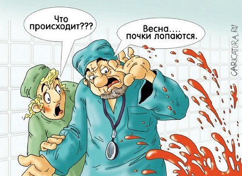 Почка прикол