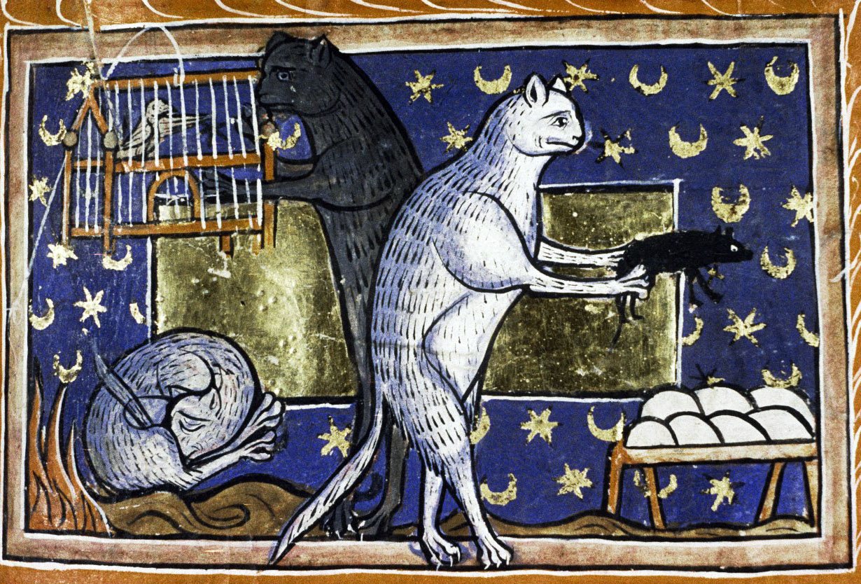 Средневековый Бестиарий Гравюры кошки