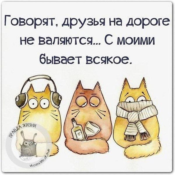 Веселые цитаты