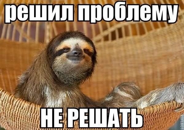 Ленивец прикол