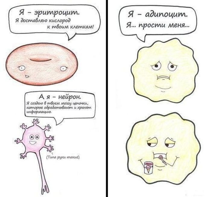 Биология смешные картинки