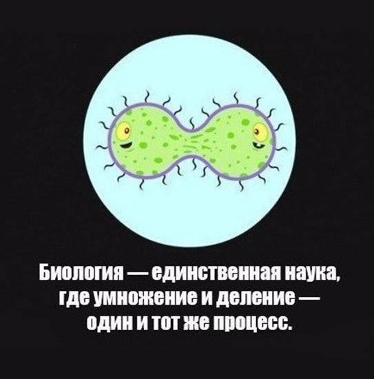 Цитаты про биологию