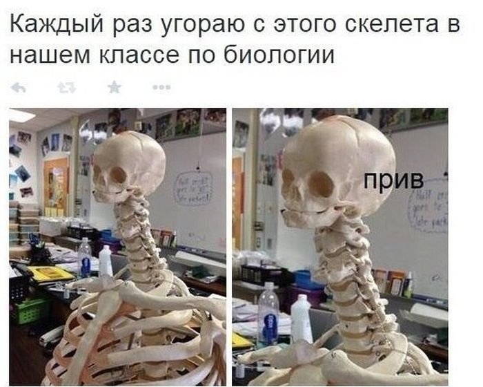 Биология смешные картинки