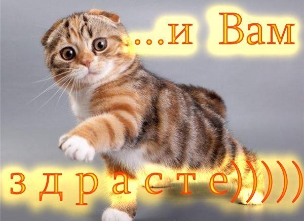 Здрасте вам