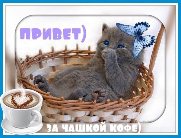 Спасибо девочки