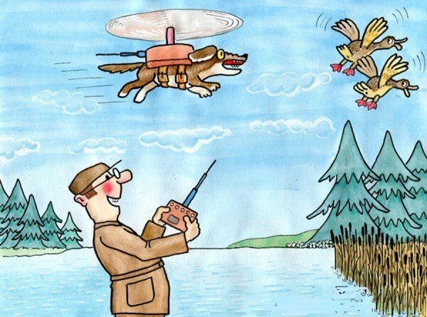 Приколы на охоте