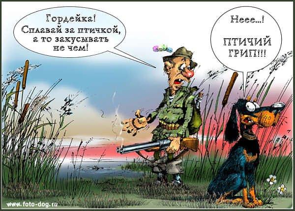 Охота юмор