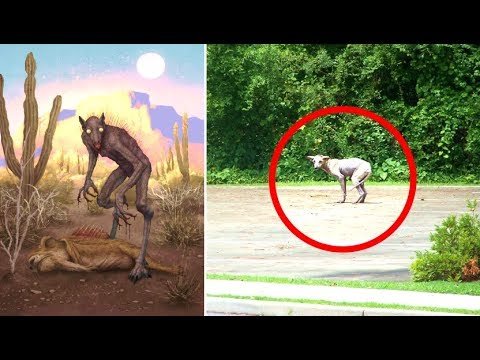 Чупакабра мультяшная смешная